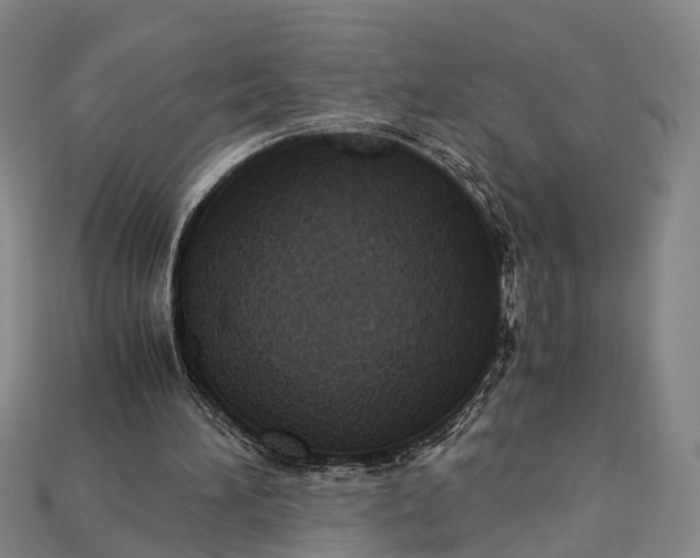 X0000115190196200911121828