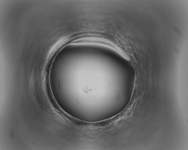 X0000115190197200911121828