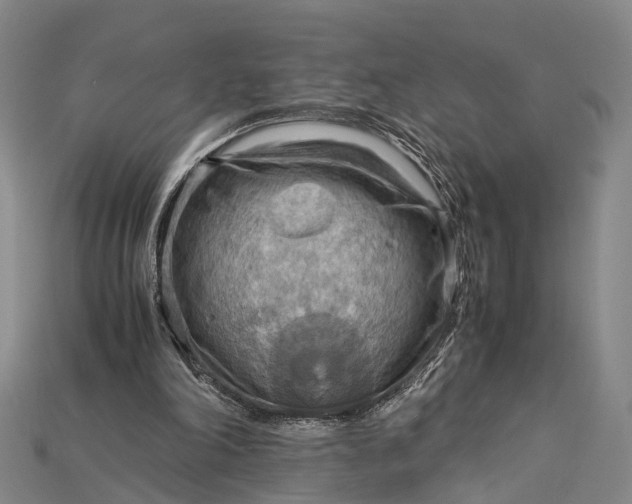 X0000115190198200911121828