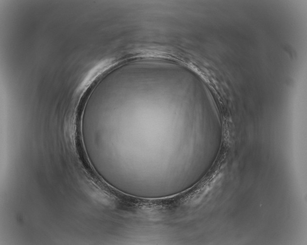 X0000115190199200911121828