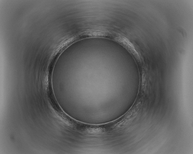 X0000115190202200911121828