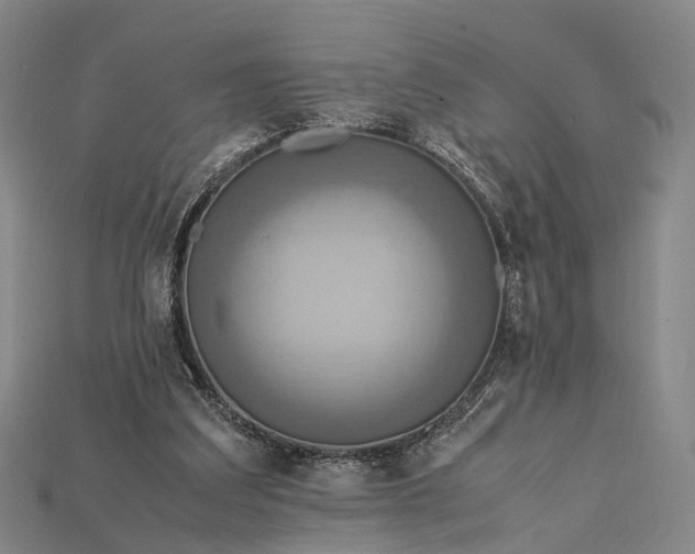X0000115190203200911121828