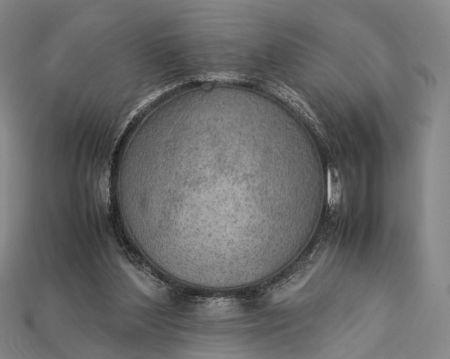 X0000115190204200911121828