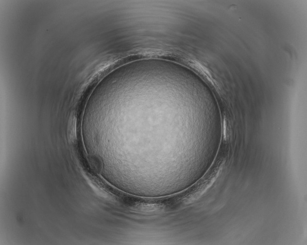 X0000115190205200911121828