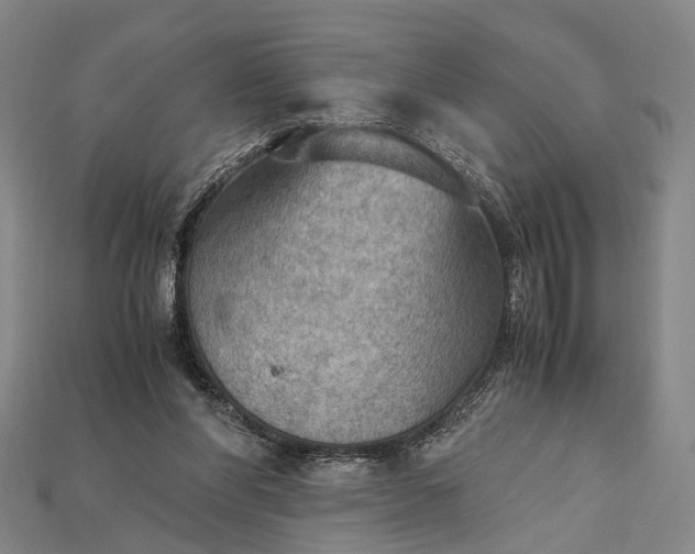 X0000115190206200911121828