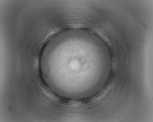 X0000115190207200911121828