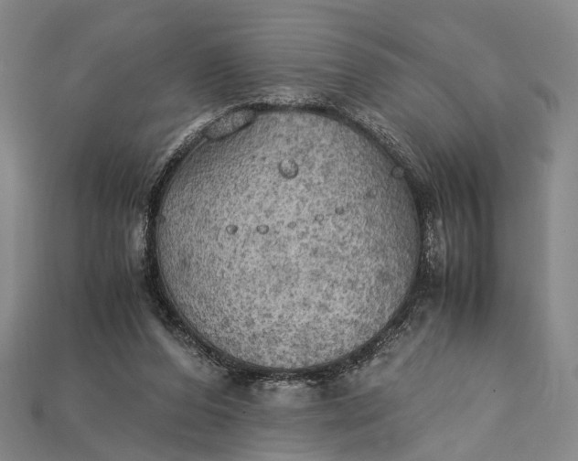 X0000115190208200911121828