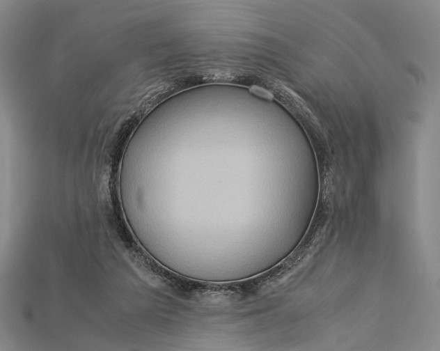 X0000115190209200911121828