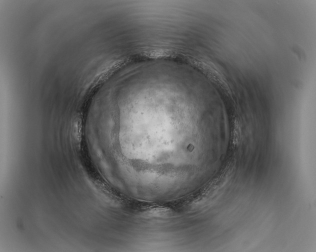 X0000115190210200911121828