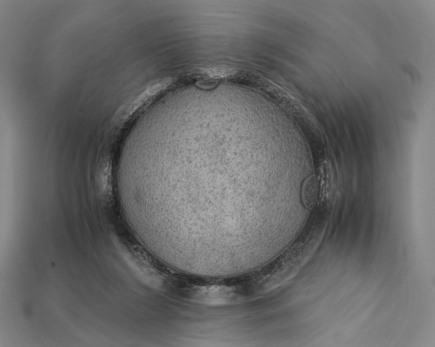 X0000115190212200911121828