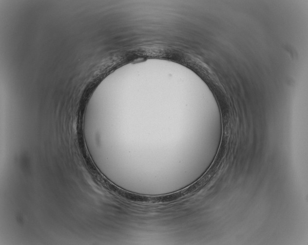 X0000115190213200911121828