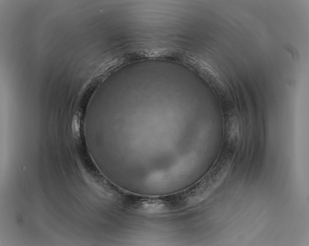 X0000115190214200911121828