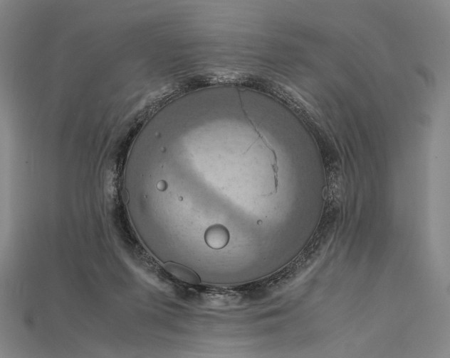 X0000115190215200911121828