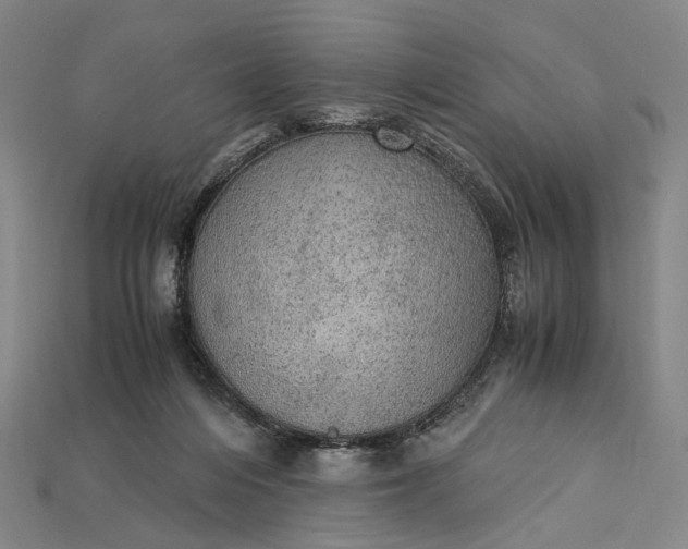 X0000115190216200911121828