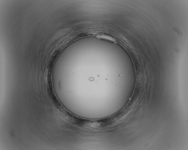 X0000115190217200911121828