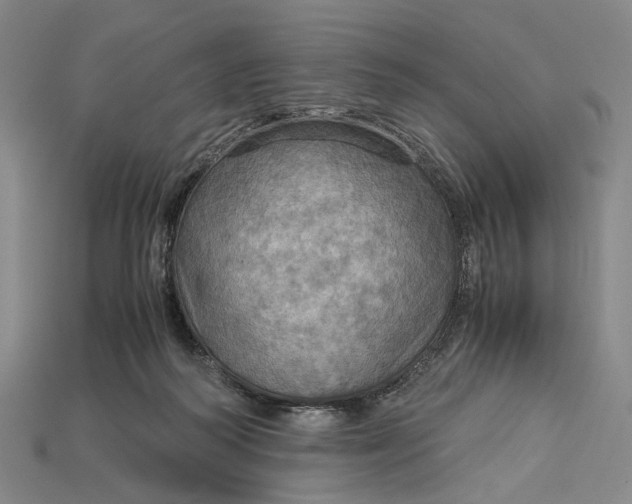 X0000115190218200911121828