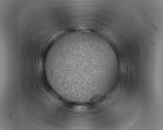 X0000115190220200911121828