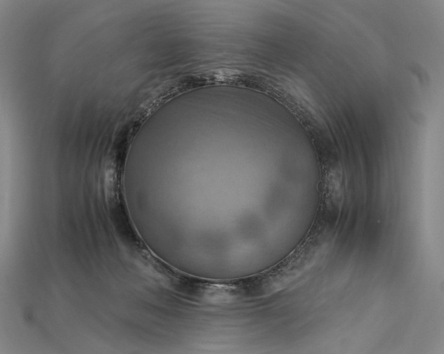 X0000115190222200911121828