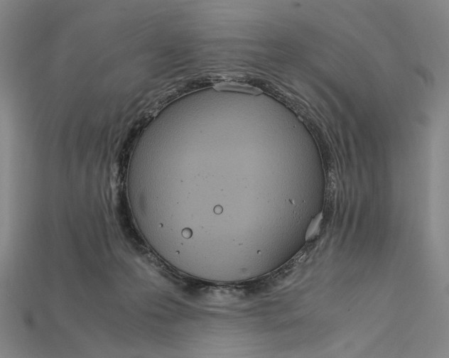 X0000115190223200911121828