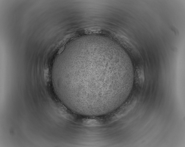 X0000115190224200911121828