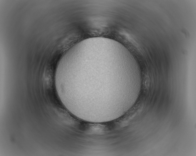 X0000115190226200911121828