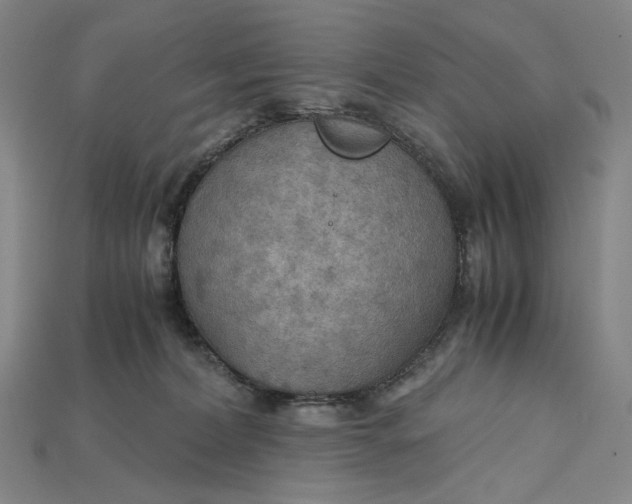 X0000115190228200911121828