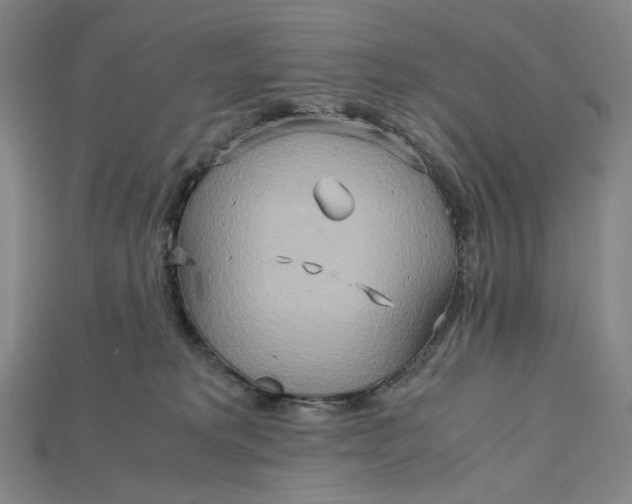 X0000115190229200911121828