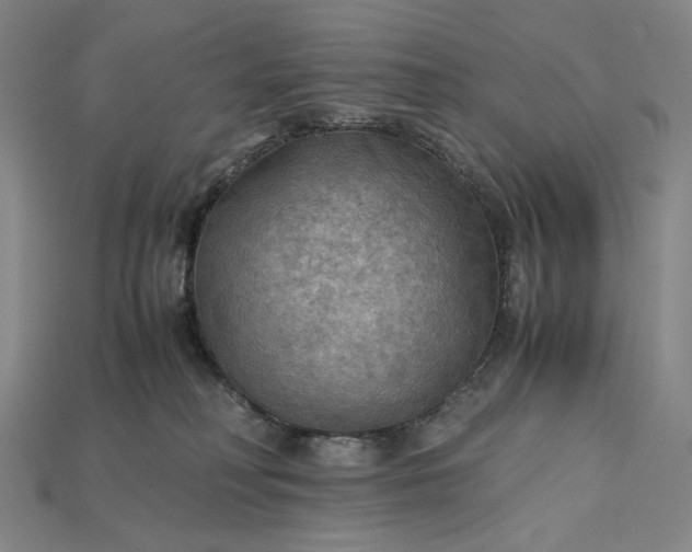X0000115190230200911121828