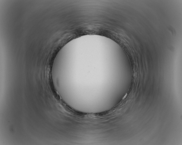 X0000115190231200911121828