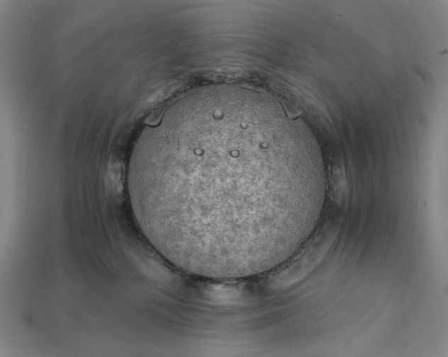X0000115190232200911121828