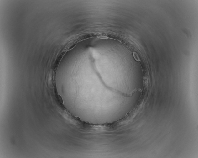 X0000115190233200911121828