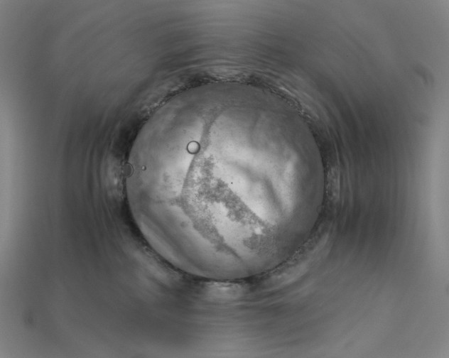 X0000115190234200911121828