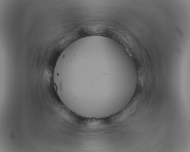 X0000115190235200911121828