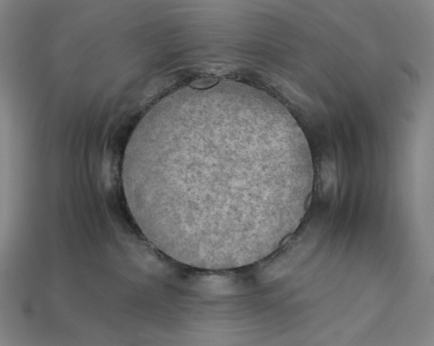 X0000115190236200911121828