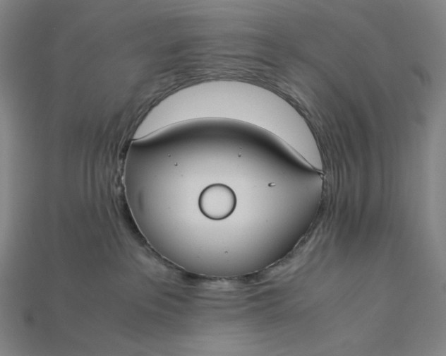 X0000115190237200911121828