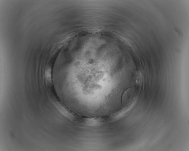 X0000115190238200911121828