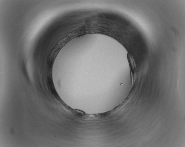 X0000115190239200911121828