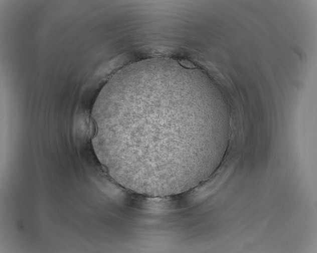 X0000115190240200911121828