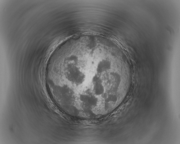 X0000115190241200911121827