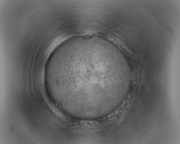 X0000115190242200911121827