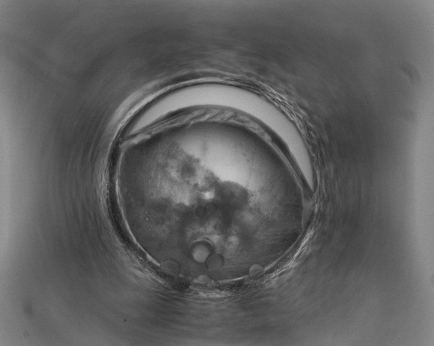 X0000115190247200911121827