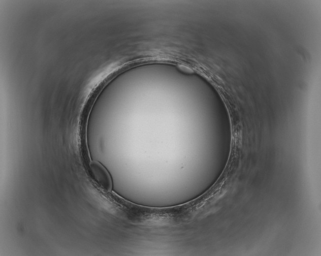 X0000115190248200911121827