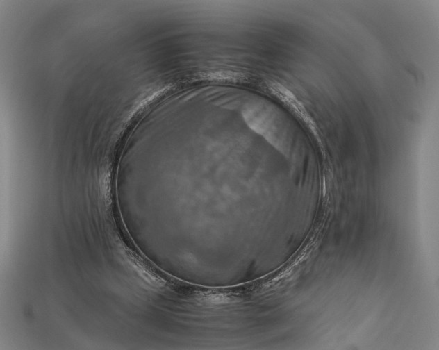 X0000115190249200911121827