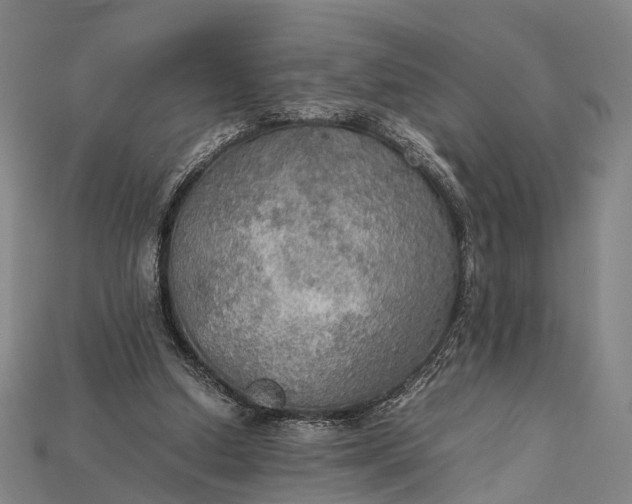 X0000115190250200911121827