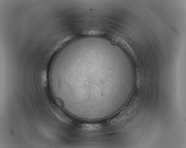 X0000115190251200911121827