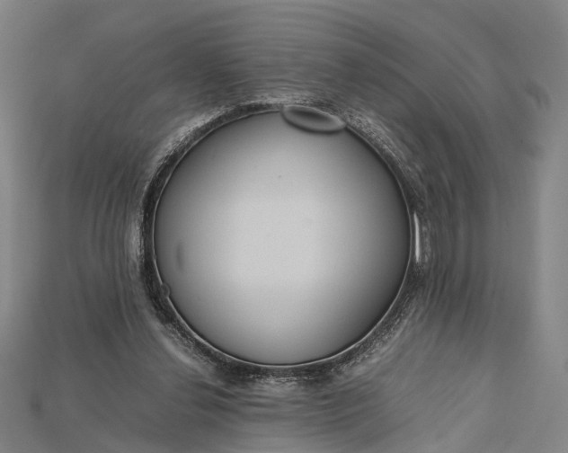 X0000115190252200911121827