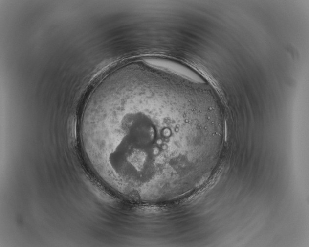 X0000115190253200911121827