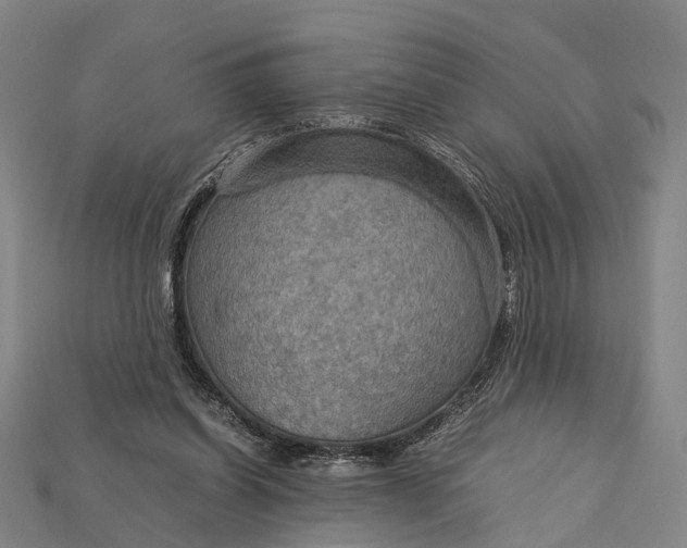 X0000115190254200911121827