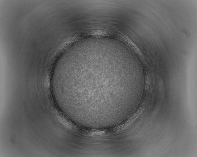 X0000115190257200911121827