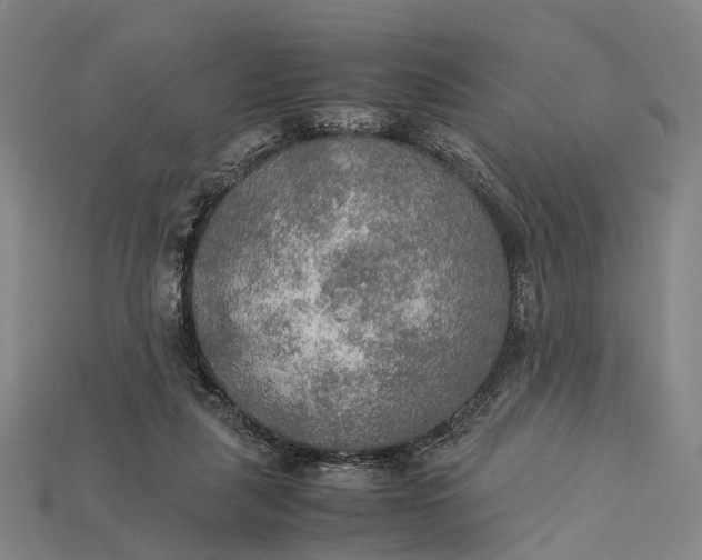 X0000115190259200911121827